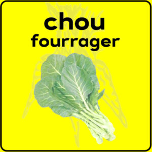 Filet de protection très solide en 10 mètres de large.