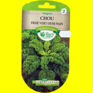 Chou Kale - VERT DEMI-NAIN (non pommé) (2 gr)