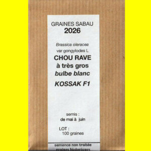 Chou rave - KOSSAK F1 (à gros bulbe blanc)
