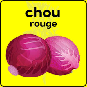 Filet de protection très solide en 10 mètres de large.