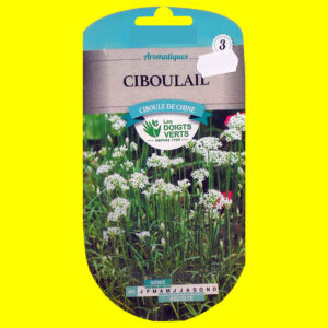 Ciboulail - DE CHINE (2gr)
