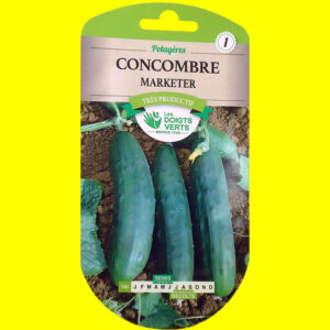 Concombre - MARKETER (demi-long de pleine terre) (6gr)