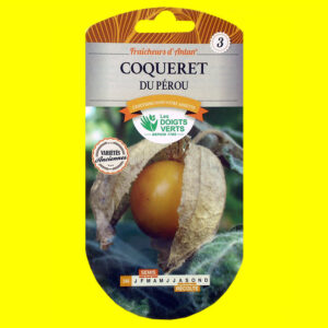 Physalis edulis - COQUERET DU PEROU (1gr)