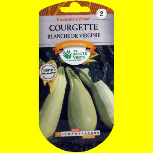 OLYMPUS DIGITAL CAMERA Courge / Courgette - BLANCHE DE VIRGINIE (5gr)