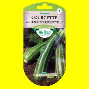 OLYMPUS DIGITAL CAMERA Courge / Courgette - VERTE D'ITALIE (6gr)