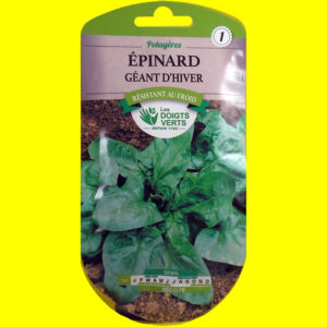 OLYMPUS DIGITAL CAMERA Epinard - Géant d'Hiver (10gr)