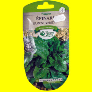 OLYMPUS DIGITAL CAMERA Epinard - SAMOS HY F1 (20gr)