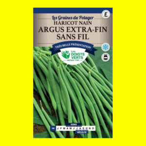 Haricot Mangetout Vert Nain - ARGUS (200 graines)