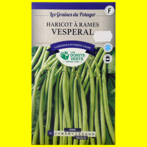 Haricot Mangetout à Rame - VESPERAL (vert) (100gr)