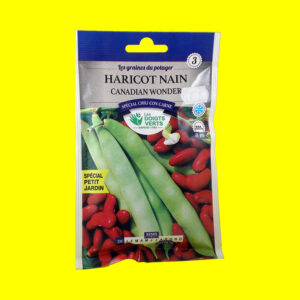 Haricot sec - CANADIAN WONDER (50gr)