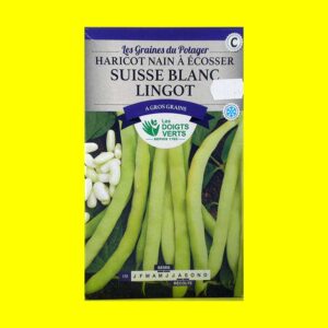 haricot-nain-lingot-a-ecoss Haricot Nain à Ecosser - LINGOT (250gr)