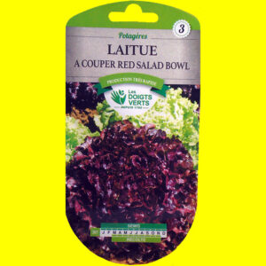 Laitue frisée - RED SALAD BOWL (rouge)