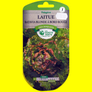 OLYMPUS DIGITAL CAMERA Laitue Batavia verte - Blonde bord rouge (4gr)