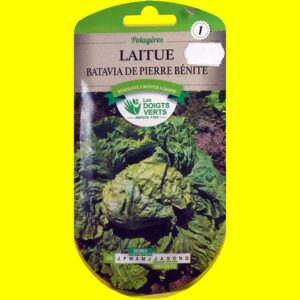 OLYMPUS DIGITAL CAMERA Laitue Batavia verte - DE PIERRE BENITE (5gr)