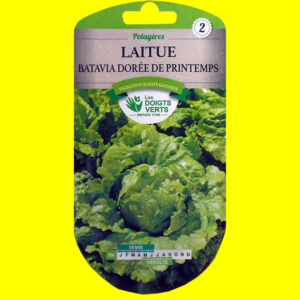 OLYMPUS DIGITAL CAMERA Laitue Batavia verte - Doré de printemps (2,5gr)