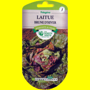 OLYMPUS DIGITAL CAMERA Laitue d'automne / hiver - PASSION BRUNE (4gr)