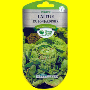 OLYMPUS DIGITAL CAMERA Laitue pommée d'été - Du Bon Jardinier (3gr)