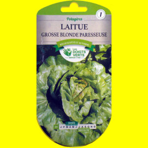 OLYMPUS DIGITAL CAMERA Laitue pommée d'été - Grosse Paresseuse (4gr)