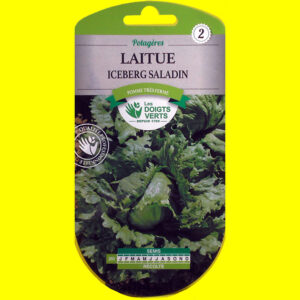 OLYMPUS DIGITAL CAMERA Laitue iceberg - SALADIN (2gr)