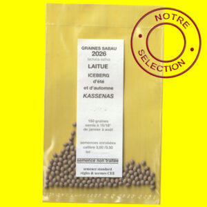 laitue kassenas copie Laitue iceberg - CASSENAS (semences enrobées)