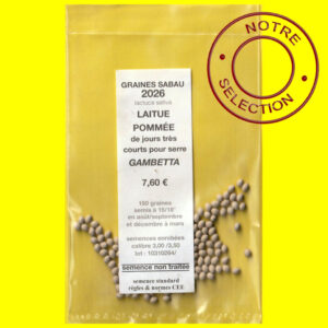 laitue pommée Gambetta copie Laitue de serre - GAMBETTA (semences enrobées)