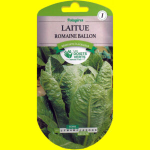 Laitue Romaine - BALLON (4g)