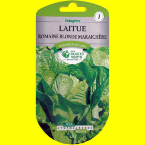 Laitue Romaine - Blonde Maraîchère (3gr)