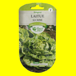 laitue sucrine Laitue pommée d'été - SUCRINE (4gr)