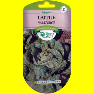 OLYMPUS DIGITAL CAMERA Laitue d'automne / hiver - VAL D'ORGE (4gr)