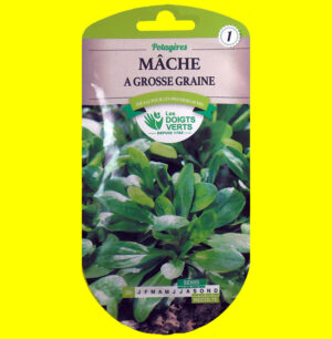 Mâche / salade de blé - A grosse graines (5gr)