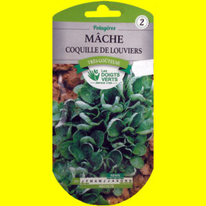 OLYMPUS DIGITAL CAMERA Mâche / salade de blé - Coquille de louviers (5gr)