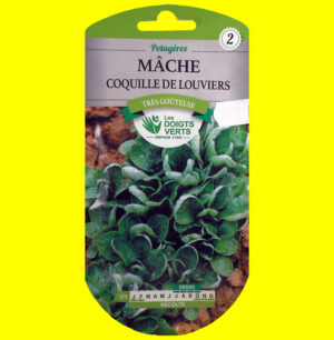 Mâche / salade de blé - Coquille de louviers (5gr)