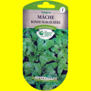 OLYMPUS DIGITAL CAMERA Mâche / salade de blé - Ronde Maraîchère (5gr)