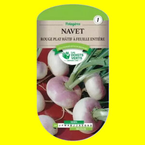 navet plat hatif à feuille entiere Navet - Rouge plat hâtif (10g)
