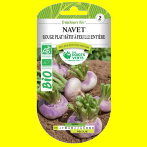navet rouge plat hatif a feuille entiere Navet - De Milan Rouge (bio) (3gr)