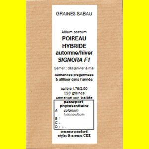 poireau hybride automne hiver signora F1 copie Poireau SIGNORA Hybride F1