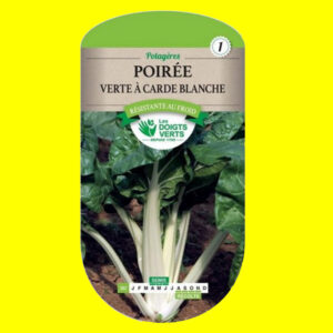 poiree verte a carde blanche Poirée ou Bette - verte à carde (5gr)
