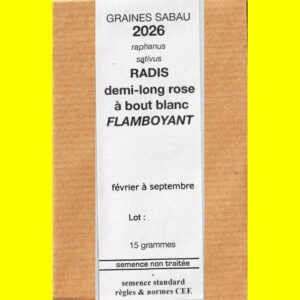 radis flamboyant Radis - FLAMBOYANT (demi-long rose à bout blanc)
