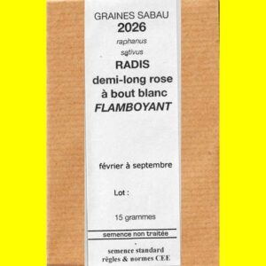 radis-flamboyant Radis - FLAMBOYANT (demi-long rose à bout blanc)