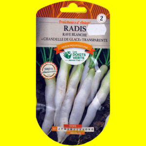 Radis - Blanc transparent chandelle des glaces (10gr)