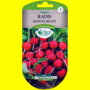 Radis - Rond écarlate (12gr)