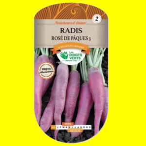 Radis - Rose de Pâques (10 grammes)