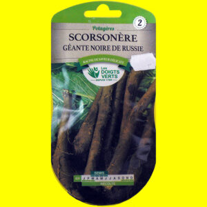 OLYMPUS DIGITAL CAMERA Scorsonère - Géante noire (6gr)