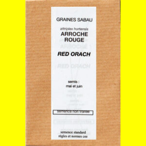 Arroche rouge Red Orach Arroche - RED ORACH (rouge)