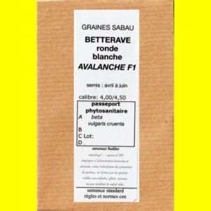 Betterave potagere blanches - AVALANCHE F1