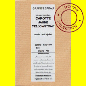 Carotte jaune Yellowstone copie Carotte - YELLOWSTONE F1 (jaune)