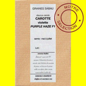 Carotte violette Purple Haze F1 copie Carotte - PURPLE HAZE F1 (violette)