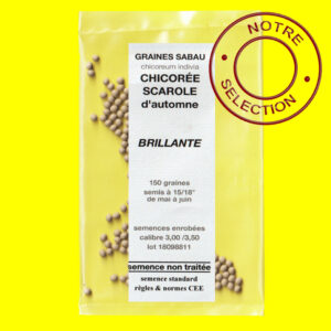 Chicorée scarole BRILLANTE Chicorée scarole - BRILLANTE (semences enrobées)
