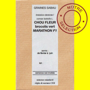 Chou-fleur Brocoli vert Marathon F1 copie Chou brocoli - MARATHON F1 (vert)