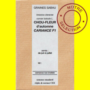 Chou-fleur d'automne Cariance F1 copie Chou-fleur - CARIANCE F1 (d'automne)